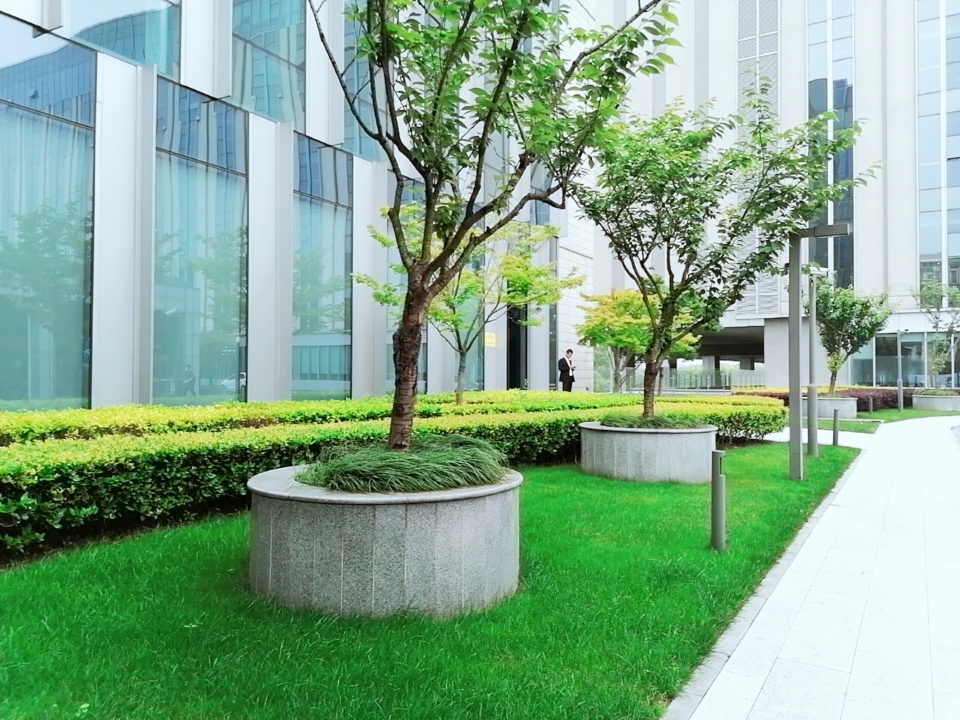 龙柏万象城精装修带家具拎包入住(图6)
